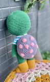 Darwin the crochet turtle