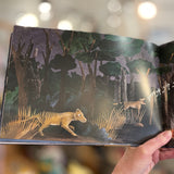 Too Many Tigers by Monica Reeve