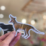 Tasmanian Tiger sticker by Pigment