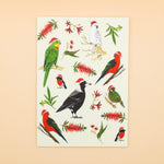 Australian birds Christmas card by Sunshine Sea Art