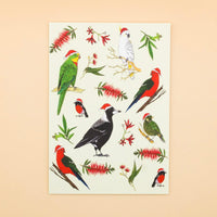 Australian birds Christmas card by Sunshine Sea Art