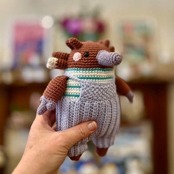 Bob the crochet echidna