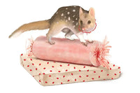 Best in Show greeting card Christmas