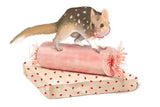 Best in Show greeting card Christmas