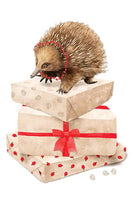 Best in Show greeting card Christmas