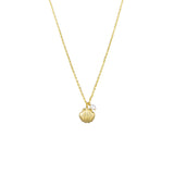 Gold shell & pearl necklace by Tiger Tree