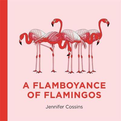 A Flamboyance of Flamingos Book by Jennifer Cossins