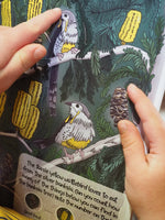 Tassie nature activity book by Nicole Gale