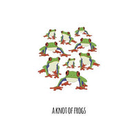 A Flamboyance of Flamingos Book by Jennifer Cossins