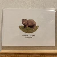 Greeting cards by Sam Lyne
