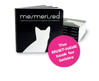 Mesmerised board book by Katey Love