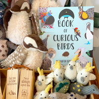 ‘The Book of Curious Birds’ by Jennifer Cossins