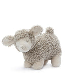 Charlotte the Sheep by Nana Huchy